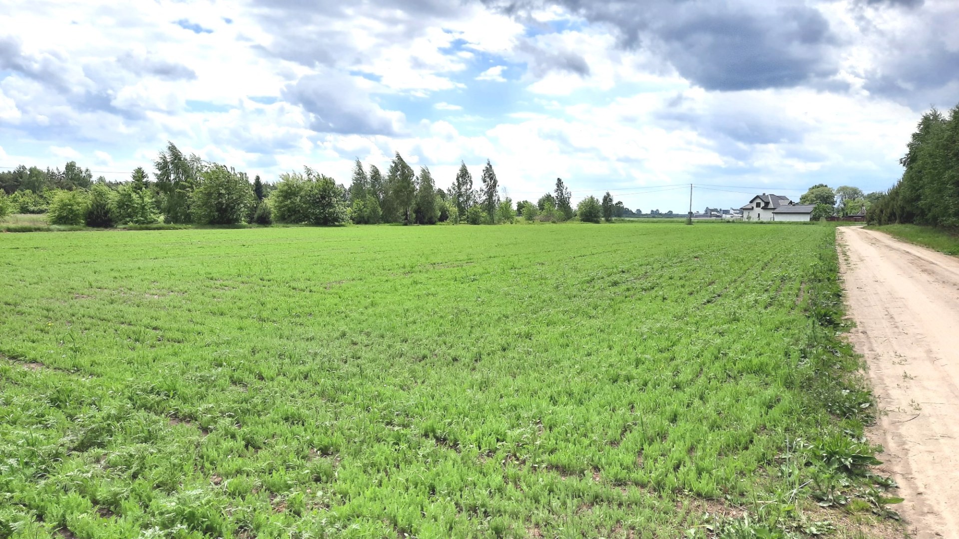 Działka na sprzedaż