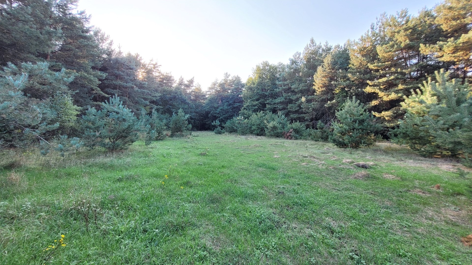 Działka na sprzedaż