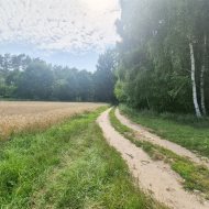 Dom na sprzedaż