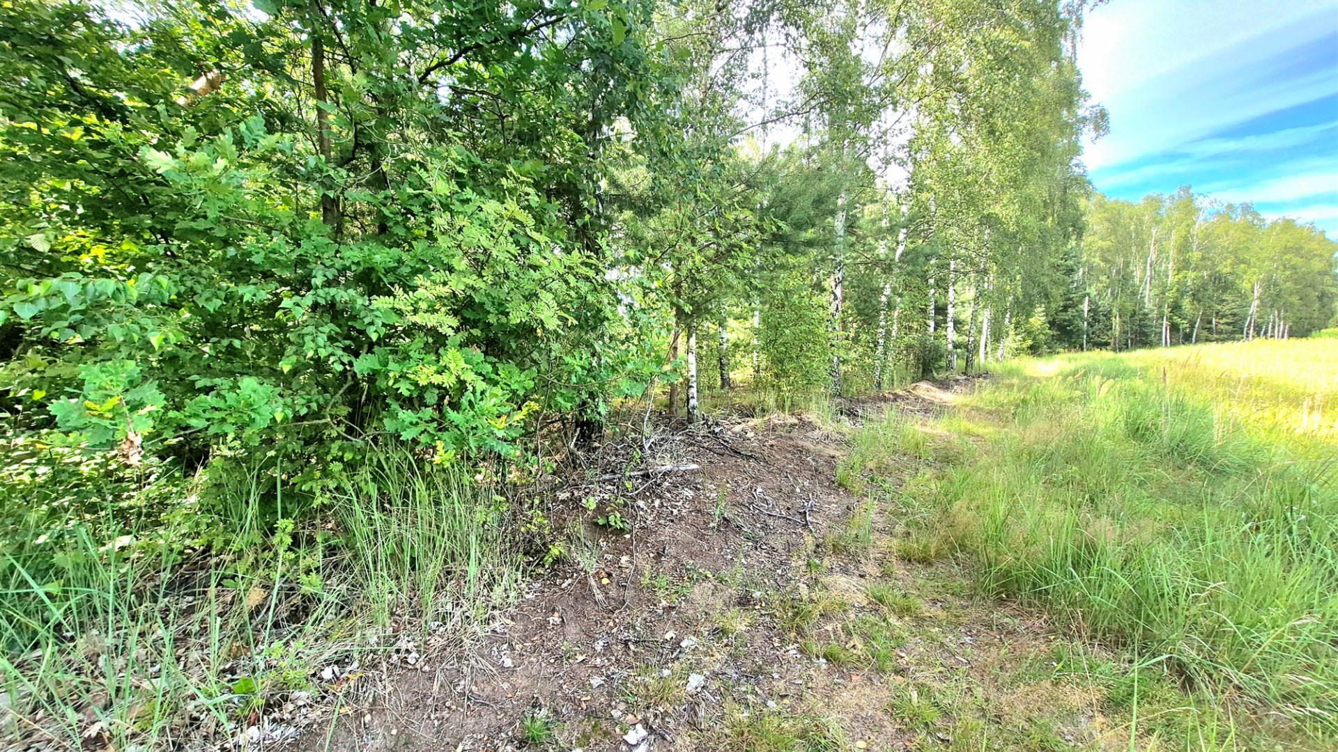Działka na sprzedaż