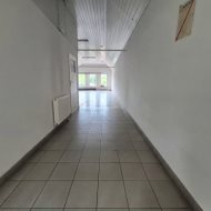 Lokal na wynajem